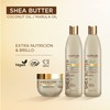 Shea Butter Coconut & Marula Oil Shampoo 355 ml