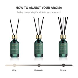 Airkeep Reed Diffuser Set, 3.38 fl oz (100 ml) - Wild Mint&Eucalyptus Oil Diffusers with 8 Reed Sticks, Home Fragrance Reed Diffuser for Bathroom Shelf Decor