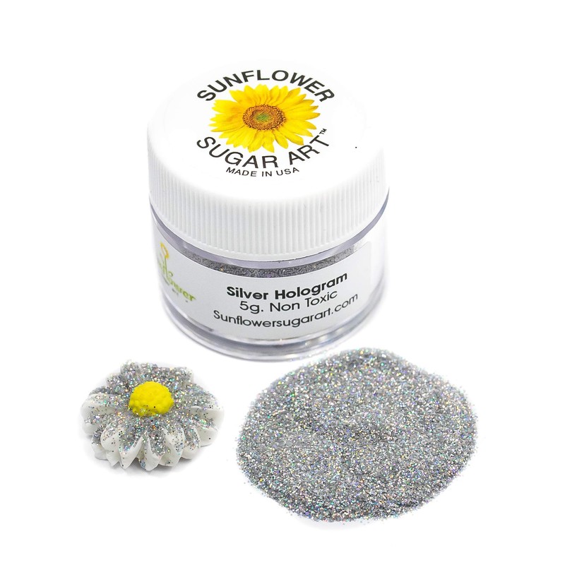Silver Hologram Glitter Dust, recipiente de 5 g