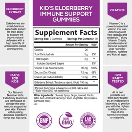 Sambucus Elderberry Immune Gummies for Kids with Vitamin C, Zinc & Elderberry, Daily Childrens Immune Support Vitamins Gummy Children Ages 2 Up, Natures Supplement, Non-GMO, Berry Flavor, 60 Gummies