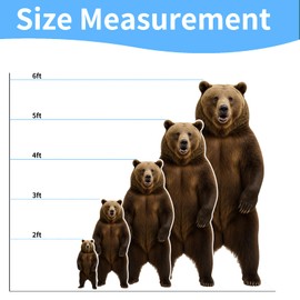 DP BOUTIQUE Bear 2FT Life Size Cardboard Cutout, Safari Theme Decoration, Animals Standup for Events, Party, Photography Props, 1 PC