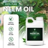 Yield Rx 100% Pure Cold-Pressed Concentrated Neem Oil – Natural