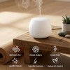 Essential Oil Diffuser, Small Ultrasonic Aromatherapy Diffuser with Auto-Off Function,