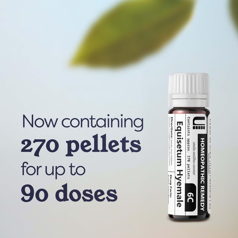 Equisetum Hyemale 6C Homeopathic Remedy, 270 Pellets