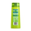 Garnier Fructis Normal Shampoo 315mL