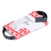 febi bilstein 28741 V-Ribbed Belt, Number of Ribs 3, Pack