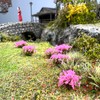 314 Pcs Nylon Miniature Grass Tufts, Mixed Pink & Purple