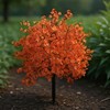 KBGYTX Orange Artificial Flowers Ground Studs Artificial Plant to Decorate