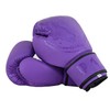 Playwell Matte "Twin Tiger Sak Yant" Muay Thai Boxing Gloves