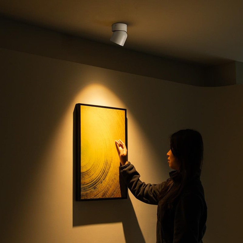 Aisilan LED Indoor White Ceiling Spot Light 9W Surface Mounted