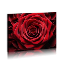 Red Rose Close Up Detail Modern Framed Flowers Giclee Canvas Prints Red Romantic Rose Flower Nature Floral Photography Realism Botanical for Living room Bedroom Bathroom 12"x16" Framed