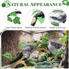 Quxddy 2Pcs Reptile Corner Branch, Reptile Climbing Decor Snake Climbing