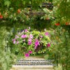 Swivel Hanging Basket Chains 23 Inches 3 Leads Hanging Chains