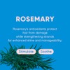 MARS MADE Rosemary Conditioner Bar - Soothing & Stimulating Natural
