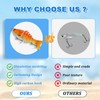 3D Bionic Swimming Bait, 5 Pieces Bionic Swimbait, Robot Fishing