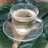 Loquat Leaf Tea (Loquat Leaf Tea, Biwa-cha), 7.1 oz (200