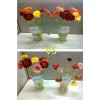 Chrysal CVBN Tablets 800 count jar clear odorless water Flowers