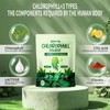 SWIYIE Chlorophyll Stick Packs – Remove Bad Breath & Supercharge