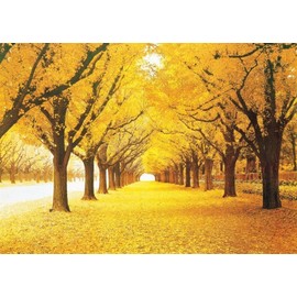 Queenie® Stained Art 1000 Piece Autumn Golden Yellow Forest Ginkgo Trees Fallen Leaves Fall Deciduous Landscape Adults Games Wooden Jigsaw Puzzles for Christmas Birthday Gifts