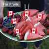 100 Pieces Canada Flag Toothpicks, Small Food Cupcake Topper for