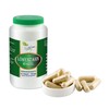 VITAIDEAL VEGAN® Dandelion root (Traxacum officialae) 120 vegetable capsules 550