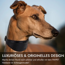 FAVPET Luxury Genuine Leather Greyhound Collar Wide with QR Code Pendant, Soft Leather Dog Collar Wide Whippet Italian Wind Chime Saluki Lurcher Spanish Galgo Greyhound Podenco (Black, L)