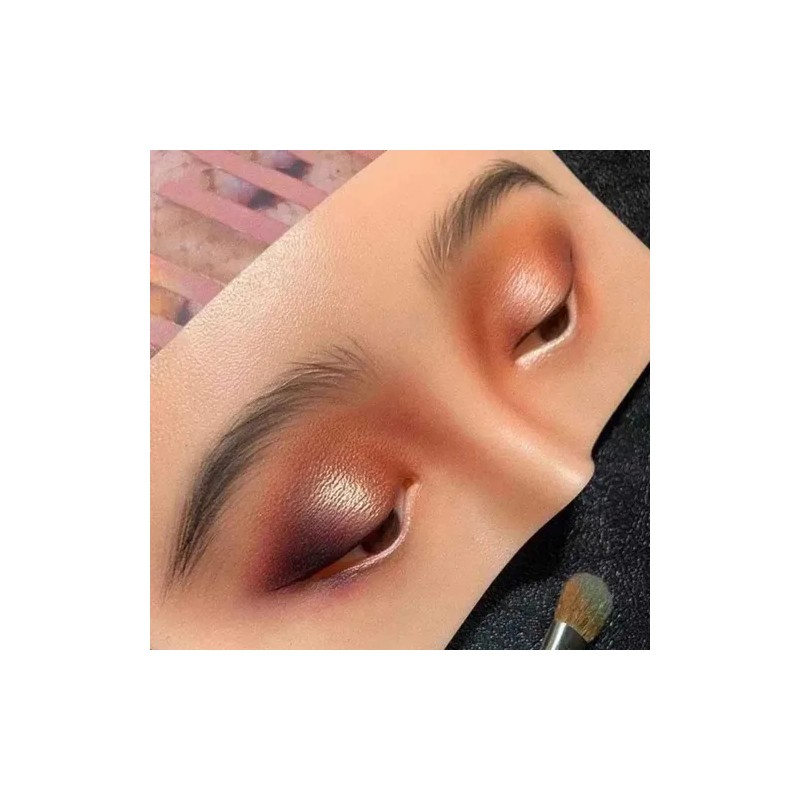 Modelo Práctica Maquillaje Sombras Ojos Aplicación Pestañas
