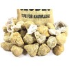 40 Break Your Own Geodes Crystals Bulk Pack - Whole