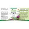 Standardized Milk Thistle Extract, Natural, Vegan, 80% Silymarin (420mg, 100