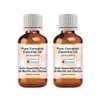 Greenwood Essential Pure Cornmint Essential Oil (Mentha arvensis) 100% Natural