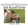 Jack Russell Terrier - (Wandkalender 2025, Kalender DIN A4 quer,