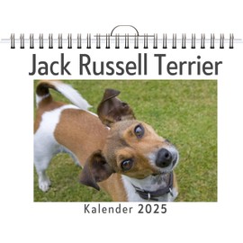 Jack Russell Terrier - (Wandkalender 2025, Kalender DIN A4 quer, Monatskalender im Querformat mit Kalendarium, das perfekte Geschenk)