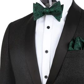 Alizeal Mens 2pcs Paisley Jacquard Tuxedo Self Bow Tie with Hanky Set for Wedding Party, Dark Green