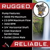 Homelite Universal POWER PRESSURE WASHER WATER PUMP 3100 psi 2.5