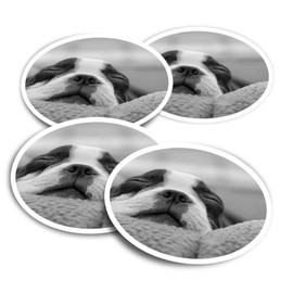 Vinyl Stickers (Set of 2) 10cm - Boston Terrier Dog Seeping Fun Decals for Laptops,Tablets,Luggage,Scrap Booking,Fridges #16616