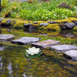 YARNOW Solar Flower Light 7 Inch Floating Lotus Pad Waterproof Outdoor Pool and Garden Decoration for Patio and Yard