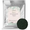 Starwest Botanicals Certified Organic Spirulina Powder, 1 Pound Bulk Bag