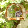 Window Squirrel Feeder, Large Squirrel Feeder for Outside,Funny Squirrel House