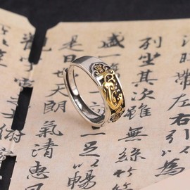 HETICA Pixiu Ring Feng Shui Lucky Ring Adjustable Good luck Wealth Jewelry Gift for Men Women