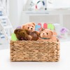 Woodluv Water Hyacinth Handwoven Shelf Storage Gift Hamper Basket -