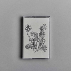 Fresques Sur Les Parois Secretes Du Crane