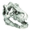 Charmoon Aquarium Object Dinosaur Fossil Bone Cave Shelter Ornament Figurine