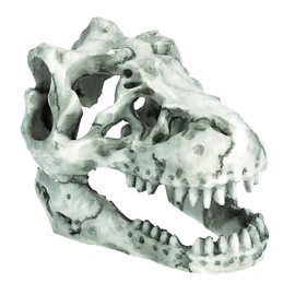Charmoon Aquarium Object Dinosaur Fossil Bone Cave Shelter Ornament Figurine