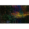 Rollo para Laminado Térmico Holografico Led 30cm x 25m