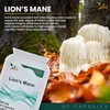 Ved Lion’s Mane Supplement 450mg, Lion's Mane Mushroom 15:1 Extract