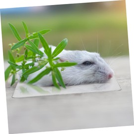 Levemolo Quiet Comfortable Cooling Pad for Hamsters Summer Heat Sink Stainless Steel Pet Mat