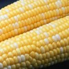 peaches & cream 500+ Peaches and Cream Sweet Corn Seeds - Heirloom - Non Gmo