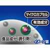 Fumakilla Raticide Dorades Power Quick Premium 20-pack Super Rat Extermination