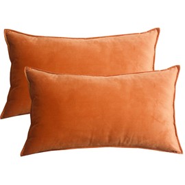 Lutanky Pack of 2 Velvet Cushion Covers Dark Orange Decorative Rectangle Throw Pillow Case Soft Flanges Pillowcases for Sofa Bedroom with Invisible Zipper 12x20 Inch 30 x 50 cm