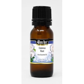 Calamus Root Pure Essential Oil (0.50 oz, ZIN: 305412) - 3 Pack